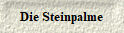 Die Steinpalme